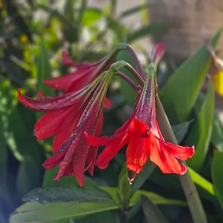 아파트 Grey Luxury House *