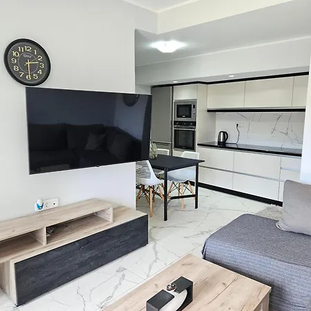 Grey Luxury House *