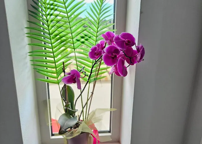 Apartman Grey Luxury House