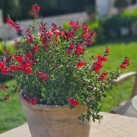 Апартаменты Grey Luxury House *