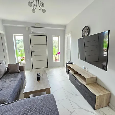 Grey Luxury House *