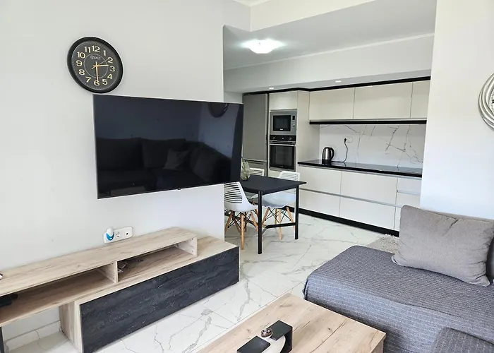Grey Luxury House *